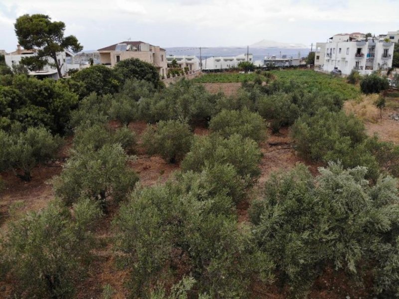 Almyrida Kreta, Almyrida: Grundstück in Strandnähe mit Meerblick zu verkaufen Grundstück kaufen